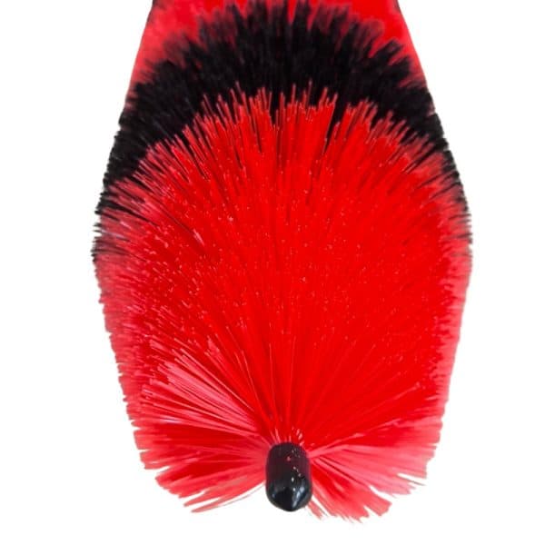 Crvena plamenička rajskog ptica na bijeloj pozadini.