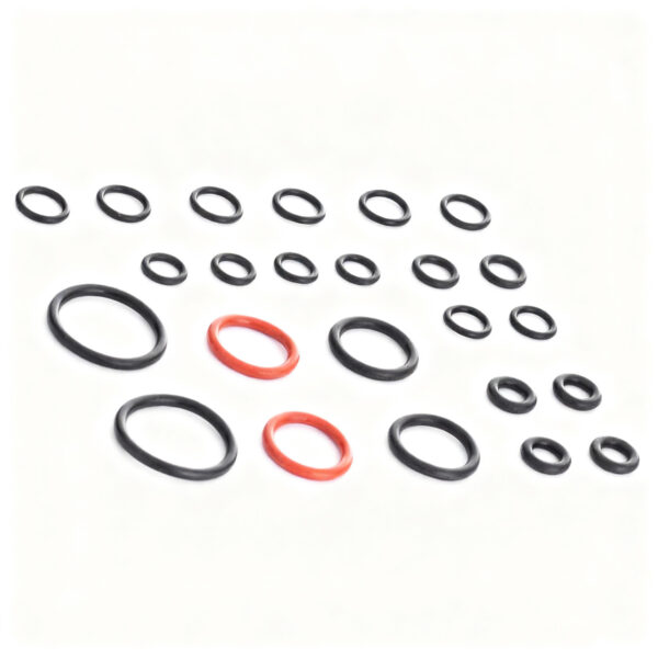 Set Zamjenskih Gumica Dihtunga Za Paročistač Sc1-Sc 5 2.884-312.0